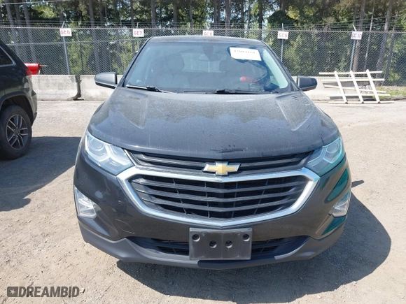 2019 Chevrolet Equinox LS with VIN 2GNAXHEV7K6212446, listed as a IAAI auction lot 42004161 with 123,863 mi miles. Bid and sale history available at carsss.com. Image 13.