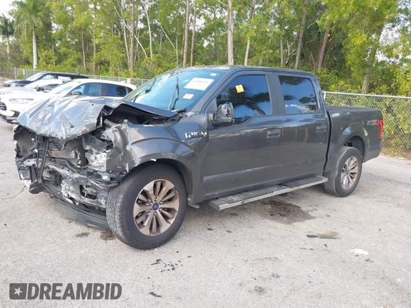 2017 Ford F-150 XL with VIN 1FTEW1CP7HKC83502, listed as a IAAI auction lot 41485951 with 117,373 mi miles and . Bid and sale history available at DreamBid. Image 17.