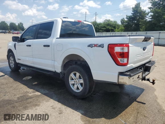 2022 Ford F-150 XL with VIN 1FTFW1ED6NFA64624, listed as a Copart auction lot 61998585 with 159,091 mi miles and Clean title. Bid and sale history available at DreamBid. Image 2.