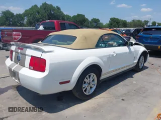 2006 Ford Mustang Standard with VIN 1ZVFT84N465107373, listed as a IAAI auction lot 42205471 with 60,598 mi miles and . Bid and sale history available at DreamBid. Image 4.