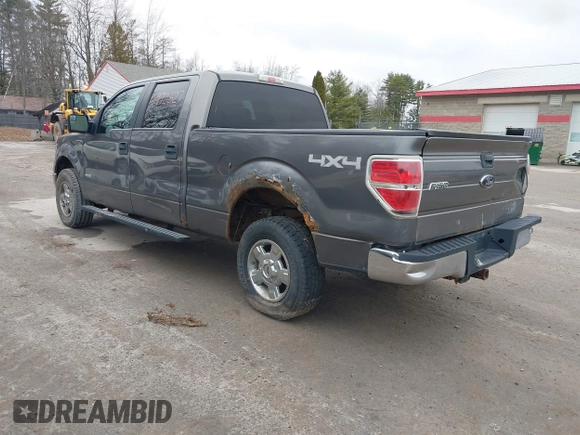 2012 Ford F-150 XL with VIN 1FTFW1ET7CFC28435, listed as a IAAI auction lot 41972527 with 114,319 mi miles. Bid and sale history available at carsss.com. Image 3.