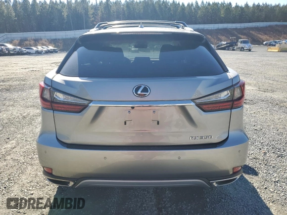 2020 Lexus RX with VIN 2T2HZMAA1LC179792, listed as a Copart auction lot 86183374 with 45,520 mi miles and Salvage Title. Bid and sale history available at carsss.com. Image 6.