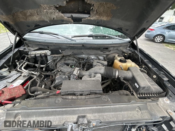 2013 Ford F-150 XL with VIN 1FTMF1CM7DFE09796, listed as a Copart auction lot 59937875 with 67,872 mi miles and Clean title. Bid and sale history available at DreamBid. Image 7.