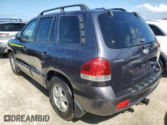 2005 Hyundai Santa Fe GLS with VIN KM8SC13D65U957846, listed as a Copart auction lot 77073824 with 51,485 mi miles and Non Repairable. Bid and sale history available at carsss.com. Image 2.