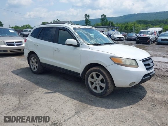 2007 Hyundai Santa Fe SE with VIN 5NMSH73E87H012117, listed as a IAAI auction lot 42451204 with 188,340 mi miles and . Bid and sale history available at DreamBid. Image 1.
