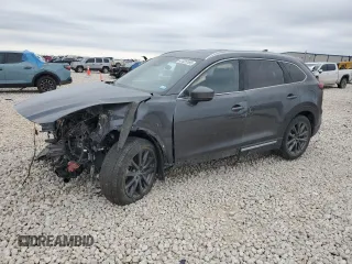 2020 Mazda CX-9 Signature with VIN JM3TCBEY8L0418705, listed as a Copart auction lot 47025165 with Not provided miles and Salvage title. Bid and sale history available at DreamBid. Image 1.
