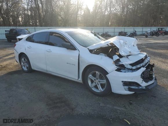 2019 Chevrolet Malibu LS with VIN 1G1ZB5ST0KF146770, listed as a Copart auction lot 46046125 with 141,347 mi miles and Salvage Title. Bid and sale history available at carsss.com. Image 4.