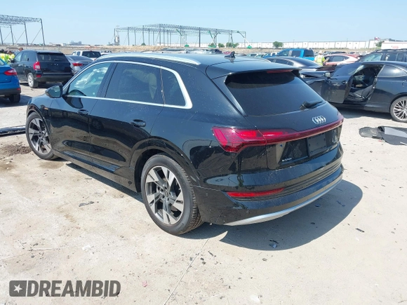 2022 Audi e-tron Premium Plus with VIN WA1LABGE6NB022565, listed as a IAAI auction lot 42402533 with 25,075 mi miles and . Bid and sale history available at DreamBid. Image 3.