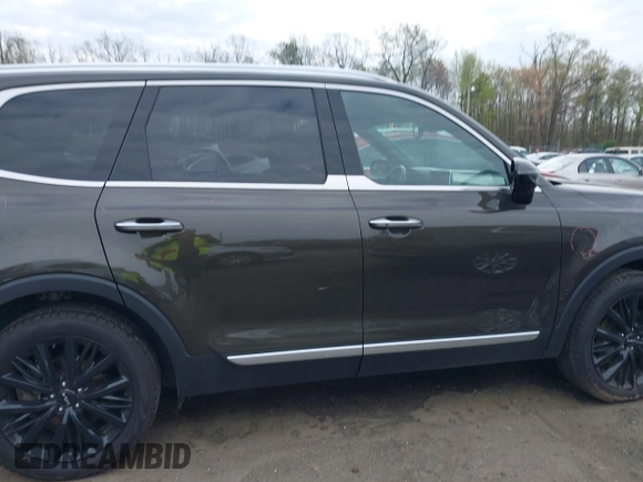 2022 Kia Telluride SX with VIN 5XYP54HC4NG271392, listed as a IAAI auction lot 42019407 with 50,971 mi miles and . Bid and sale history available at DreamBid. Image 13.