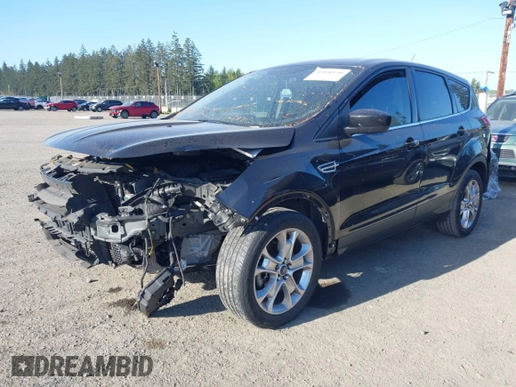 2014 Ford Escape SE with VIN 1FMCU9G9XEUB01861, listed as a IAAI auction lot 42096150 with 141,853 mi miles. Bid and sale history available at carsss.com. Image 2.
