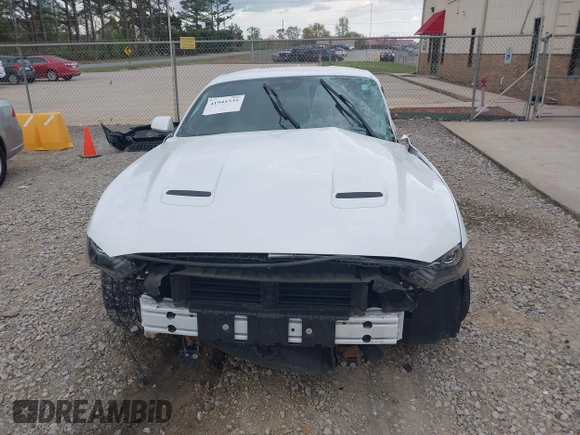 2023 Ford Mustang EcoBoost с VIN 1FA6P8TH2P5110069, выставлен на аукционе IAAI как лот 41941535 с пробегом Не указан миль и . История ставок и продаж доступна на DreamBid. Изображение 13.