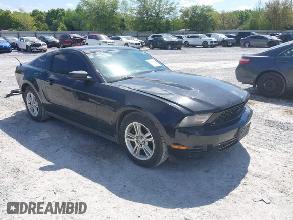 2011 Ford Mustang V6 with VIN 1ZVBP8AM5B5160365, listed as a IAAI auction lot 42003791 with 175,579 mi miles and . Bid and sale history available at carsss.com. Image 1.