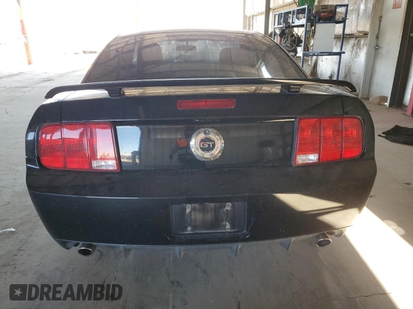 2007 Ford Mustang GT Deluxe with VIN 1ZVHT82H175269324, listed as a Copart auction lot 53124235 with Not Provided miles and Salvage Title. Bid and sale history available at carsss.com. Image 6.