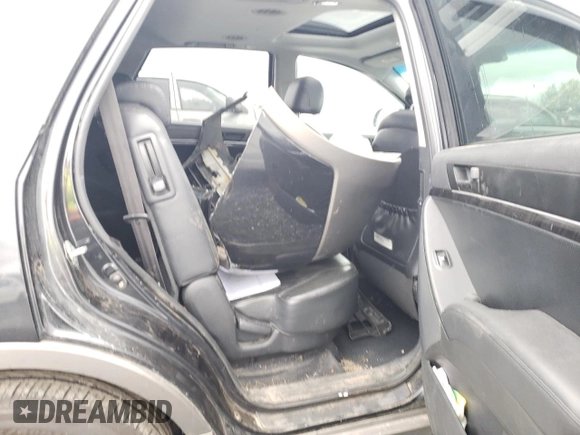 2009 Hyundai Veracruz GLS with VIN KM8NU73C29U097339, listed as a Copart auction lot 72419964 with 226,654 mi miles and Salvage title. Bid and sale history available at DreamBid. Image 11.