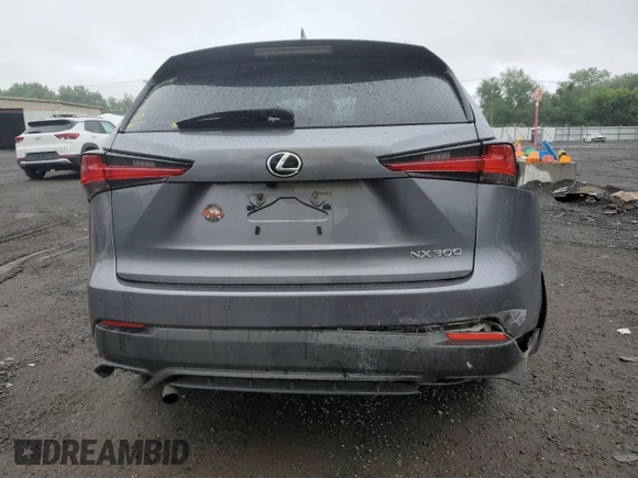 2019 Lexus NX 300 with VIN JTJBARBZ8K2184551, listed as a Copart auction lot 61269935 with 109,215 mi miles and Salvage title. Bid and sale history available at DreamBid. Image 6.