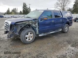 2009 Ford F-150 XL with VIN 1FTPW14VX9FA25474, listed as a Copart auction lot 51437595 with 147,088 mi miles and Salvage title. Bid and sale history available at DreamBid. Image 1.