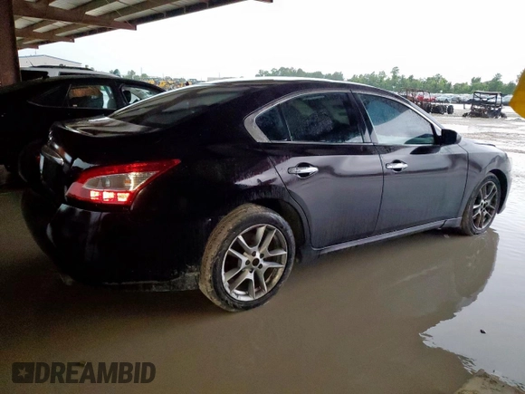 2010 Nissan Maxima SV with VIN 1N4AA5AP8AC841306, listed as a Copart auction lot 60698265 with 117,853 mi miles and Salvage title. Bid and sale history available at DreamBid. Image 3.