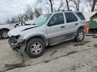 2004 Ford Escape XLT with VIN 1FMYU03134KA19384, listed as a Copart auction lot 46597125 with 173,947 mi miles and Salvage Title. Bid and sale history available at carsss.com. Image 1.