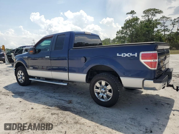 2011 Ford F-150 XL with VIN 1FTFX1ET8BFC18119, listed as a Copart auction lot 55903565 with 229,249 mi miles and Clean Title. Bid and sale history available at carsss.com. Image 2.