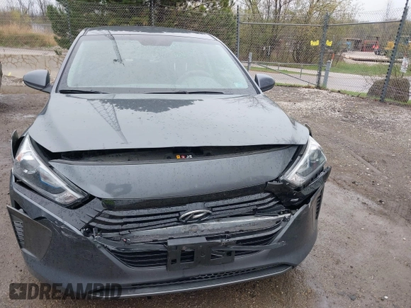 2019 Hyundai Ioniq Blue with VIN KMHC65LC7KU117578, listed as a IAAI auction lot 42173054 with 80,541 mi miles and . Bid and sale history available at DreamBid. Image 6.