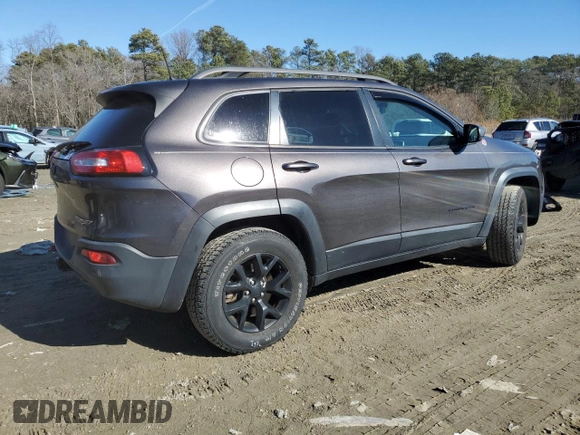 2018 Jeep Cherokee Trailhawk with VIN 1C4PJMBB9JD548008, listed as a Copart auction lot 43076075 with 61,906 mi miles and Salvage title. Bid and sale history available at DreamBid. Image 3.