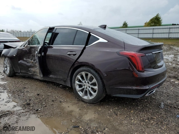 2022 Cadillac CT5 Premium Luxury with VIN 1G6DN5RK5N0111092, listed as a Copart auction lot 86408354 with 0 mi miles and Salvage Title. Bid and sale history available at carsss.com. Image 2.
