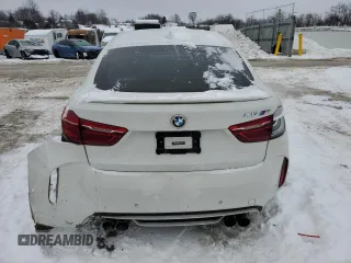 2016 BMW X6 M with VIN 5YMKW8C53G0R43451, listed as a Copart auction lot 41389955 with 69,003 mi miles and Salvage Title. Bid and sale history available at carsss.com. Image 6.