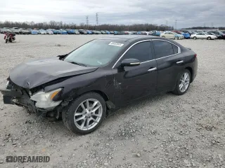 2010 Nissan Maxima 3.5 SV w/Premium Pkg with VIN 1N4AA5AP7AC856380, listed as a Copart auction lot 48403845 with 267,631 mi miles and Salvage Title. Bid and sale history available at carsss.com. Image 1.