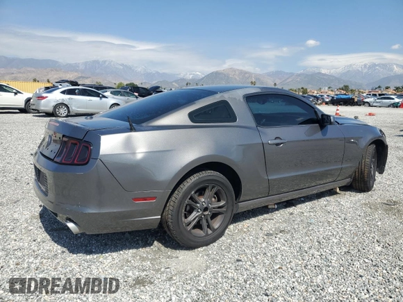 2014 Ford Mustang V6 with VIN 1ZVBP8AMXE5201707, listed as a Copart auction lot 49221165 with 164,123 mi miles and Salvage Title. Bid and sale history available at carsss.com. Image 3.