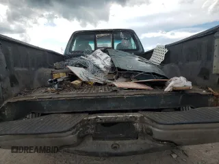 1998 Ford F-150 XL with VIN 1FTRF17L0WNA48153, listed as a Copart auction lot 72606904 with 213,592 mi miles and Non repairable. Bid and sale history available at DreamBid. Image 10.