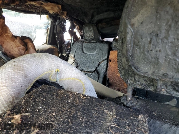2016 Jeep Cherokee Altitude z VIN 1C4PJMCB7GW218718, wystawiony jako Copart lot #59789355 z przebiegiem Nie podano mil oraz Nie do naprawy • Non repairable. Historia ofert i sprzedaży dostępna na DreamBid. Obrazek 11.