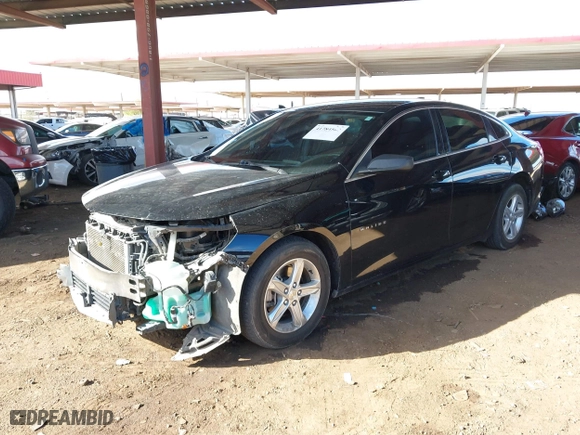 2019 Chevrolet Malibu LS with VIN 1G1ZB5ST5KF139913, listed as a IAAI auction lot 41784502 with 116,754 mi miles. Bid and sale history available at carsss.com. Image 18.