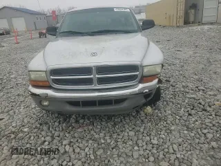 2001 Dodge Dakota with VIN 1B7GL22XX1S313638, listed as a Copart auction lot 43059385 with 114,298 mi miles and Salvage Title. Bid and sale history available at DreamBid. Image 11.