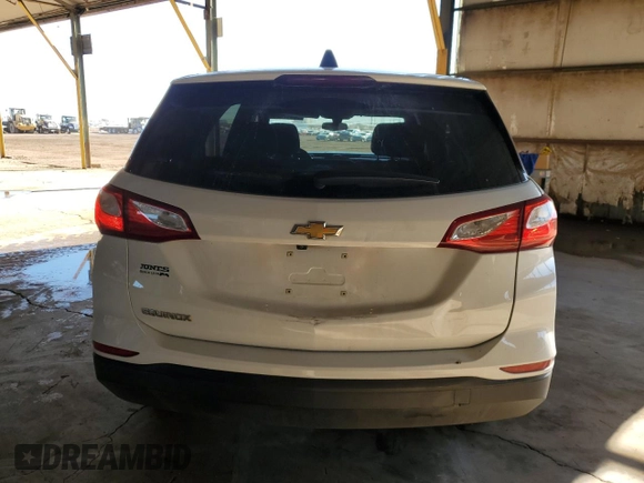 2019 Chevrolet Equinox LS with VIN 3GNAXHEV5KS595174, listed as a Copart auction lot 50412685 with 108,253 mi miles and Salvage Title. Bid and sale history available at carsss.com. Image 6.