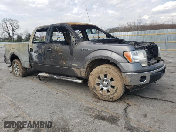 2011 Ford F-150 XLT with VIN 1FTFW1ETXBFC86814, listed as a Copart auction lot 50902165 with Not Provided miles and Salvage Title. Bid and sale history available at carsss.com. Image 4.