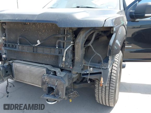 2015 Ford F-150 XLT with VIN 1FTEX1EP0FKD71833, listed as a IAAI auction lot 42267258 with 194,972 mi miles and . Bid and sale history available at DreamBid. Image 6.