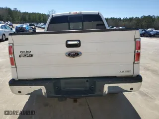 2013 Ford F-150 XL with VIN 1FTFW1CF3DFA09826, listed as a Copart auction lot 48465775 with 173,007 mi miles and Salvage Title. Bid and sale history available at carsss.com. Image 6.