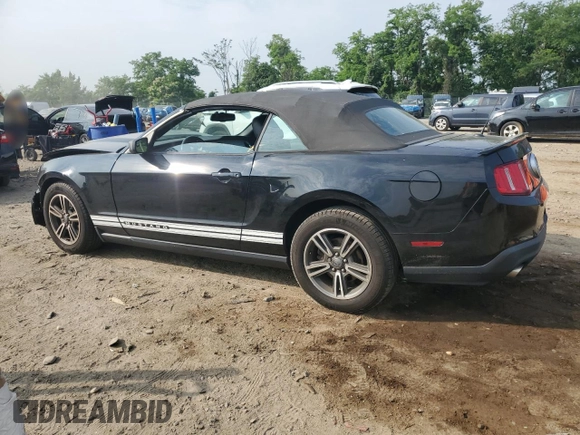 2011 Ford Mustang V6 with VIN 1ZVBP8EMXB5143569, listed as a Copart auction lot 60563695 with 233,975 mi miles and Salvage title. Bid and sale history available at DreamBid. Image 2.