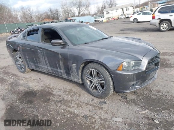 2014 Dodge Charger RT Plus with VIN 2C3CDXDTXEH244650, listed as a IAAI auction lot 41320486 with 126,493 mi miles. Bid and sale history available at carsss.com. Image 1.