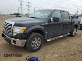 2010 Ford F-150 XL with VIN 1FTEW1E84AFD14774, listed as a Copart auction lot 60530435 with 150,299 mi miles and Salvage title. Bid and sale history available at DreamBid. Image 1.