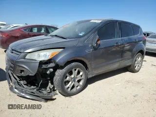 2013 Ford Escape SEL with VIN 1FMCU0H99DUA17393, listed as a Copart auction lot 48357365 with 152,347 mi miles and Salvage Title. Bid and sale history available at carsss.com. Image 1.