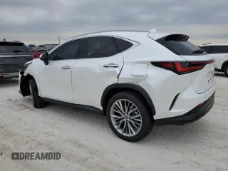 2022 Lexus NX with VIN 2T2GKCEZXNC008682, listed as a Copart auction lot 77434873 with Not Provided miles. Bid and sale history available at carsss.com. Image 2.