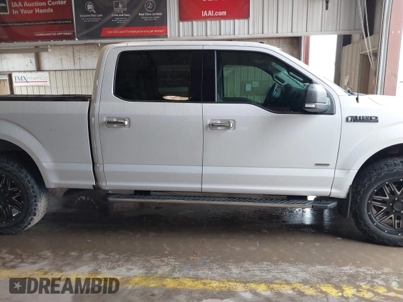2016 Ford F-150 XLT with VIN 1FTFW1EG1GKD21922, listed as a IAAI auction lot 41888036 with 128,846 mi miles. Bid and sale history available at carsss.com. Image 13.