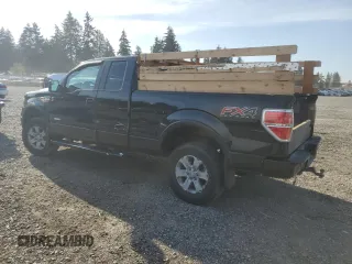 2013 Ford F-150 XL with VIN 1FTFX1ETXDFC22191, listed as a Copart auction lot 53003795 with 183,975 mi miles and Clean Title. Bid and sale history available at carsss.com. Image 2.