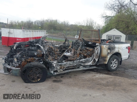 2015 Ford F-150 XLT with VIN 1FTFX1EF8FFA17031, listed as a IAAI auction lot 41965449 with 1 mi miles. Bid and sale history available at carsss.com. Image 12.
