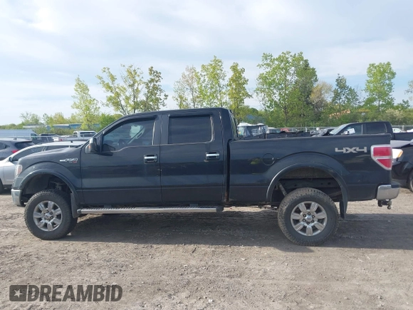 2011 Ford F-150 XL z VIN 1FTFW1EF3BKD55814, wystawiony jako IAAI lot #42225318 z przebiegiem 250 981 mil mil oraz . Historia ofert i sprzedaży dostępna na DreamBid. Obrazek 13.