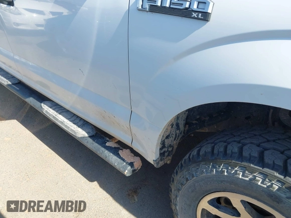 2018 Ford F-150 XL with VIN 1FTEW1E53JKE93841, listed as a IAAI auction lot 42256829 with 126,192 mi miles and . Bid and sale history available at DreamBid. Image 6.