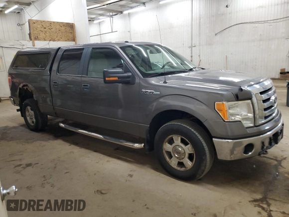 2009 Ford F-150 XL with VIN 1FTPW14V19FA73431, listed as a Copart auction lot 54222965 with 310,958 mi miles and Clean Title. Bid and sale history available at carsss.com. Image 4.