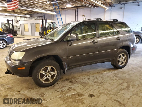 2002 Lexus RX 300 with VIN JTJHF10U220289134, listed as a Copart auction lot 77976464 with 0 mi miles and Salvage Title. Bid and sale history available at carsss.com. Image 1.