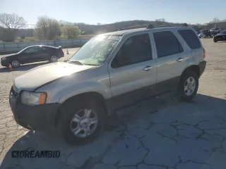 2003 Ford Escape XLT Popular with VIN 1FMYU03123KA92891, listed as a Copart auction lot 49392575 with 298,550 mi miles and Salvage Title. Bid and sale history available at carsss.com. Image 1.